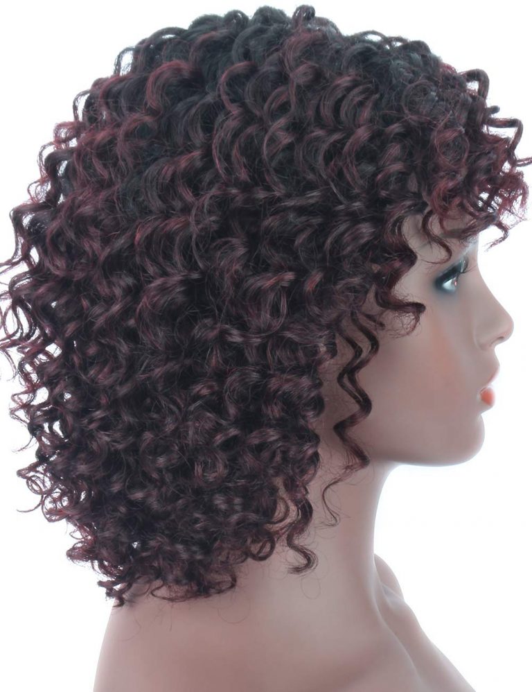 Beauart 100% Remy Human Hair Wigs for Black Women Short Curly Dark ...