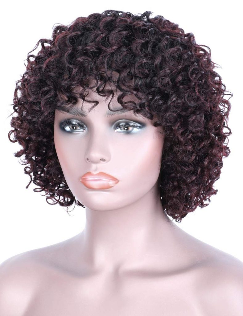 Beauart 100% Remy Human Hair Wigs for Black Women Short Curly Dark ...